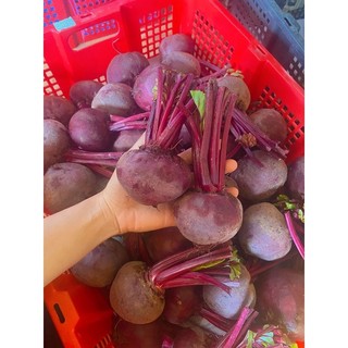 Củ dền đà lạt tươi - rau củ đà lạt