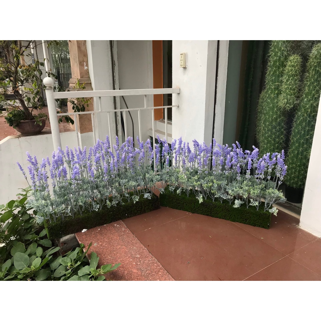Hoa Lavender_Cành hoa giả Lavender 3 nhánh cao 50cm thân phủ phấn trắng giống thật loại 1, phù hợp trang trí nhà cửa