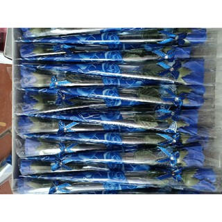 Hoa hồng sáp