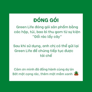 Sen đá Mini (sen vỉ 3-5cm) - Greenlife