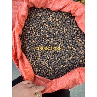 1 kg hạt dẻ rừng thơm ngon đúng vị