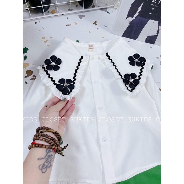 Set sơ mi cổ hoa bèo + quần baggy cho bé gái