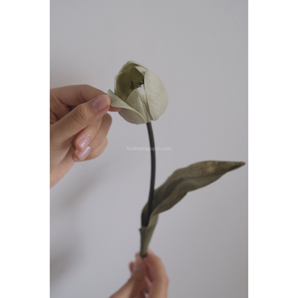 Hoa tulip giả