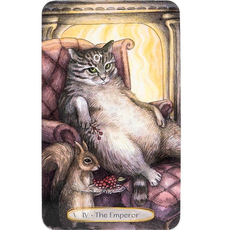 Bộ Bài Soul Cats Tarot  - Bài Gốc Authentic Chính Hãng 100%