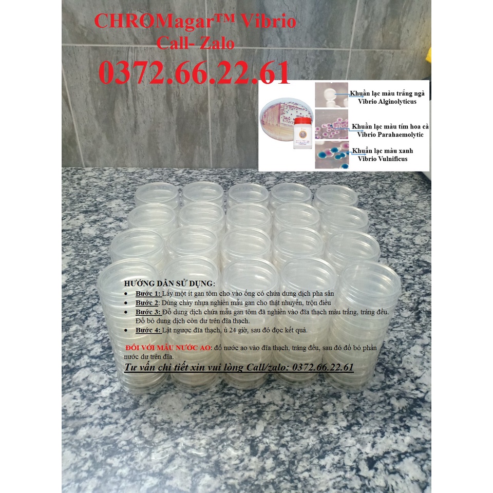 Combo 5 đĩa test nhanh Vibrio, khuẩn gan và khuẩn ruột gây bệnh trong ao nuôi tôm, tặng kèm que trang