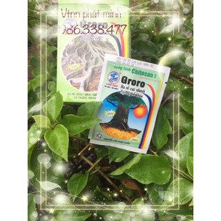 Phân bón kích ra rễ cực mạnh Groro Chitosan
