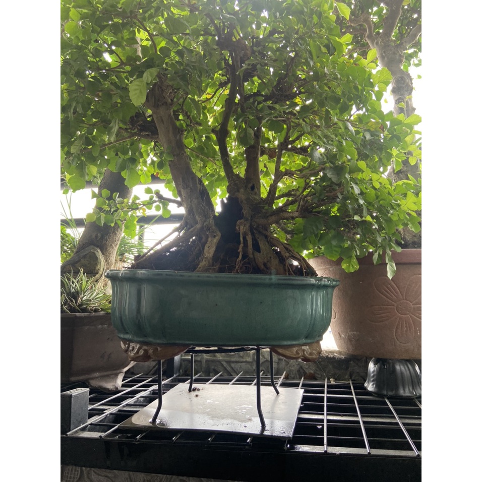 Đế sắt, chân đôn để chậu cây, chậu hoa