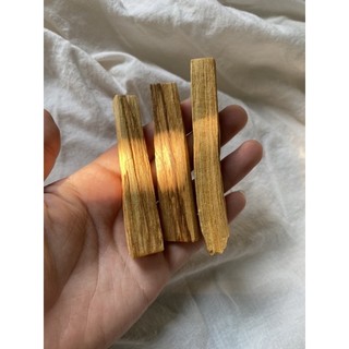 Palo Santo (Gỗ trắc xanh)