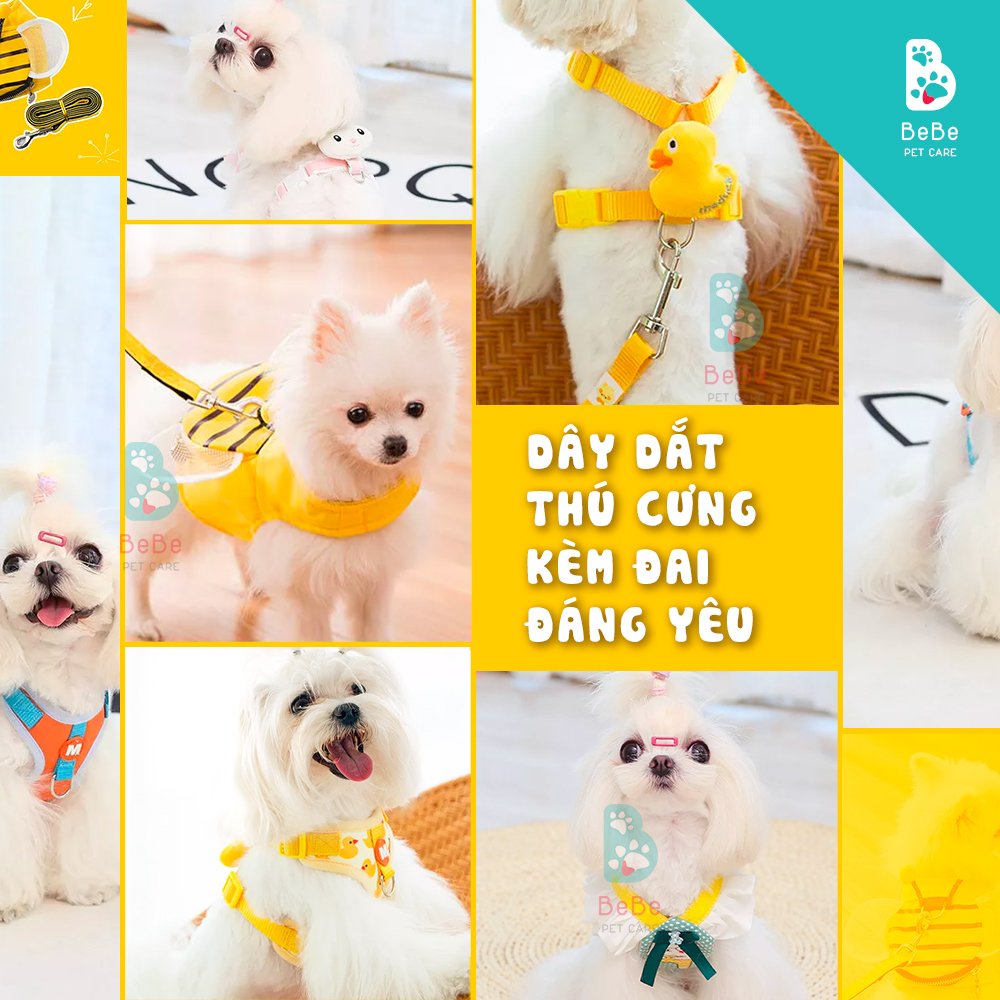 [Siêu Đáng Yêu] Dây Dắt Thú Cưng Xinh Xắn Kèm Đai Yếm Thoáng Khí - Tiện Lợi Khi Đi Dạo Cùng Boss
