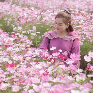 100 hạt hoa sao nhái mix màu