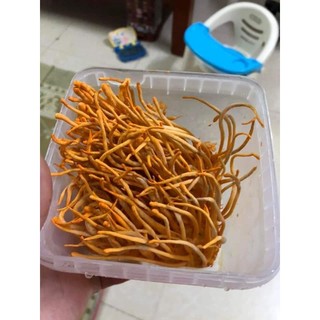 200g nấm đông trùng hạ thảo