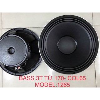 LOA BASS 30 BASS 3 TẤC COil 65 Từ 170 Sườn Nhôm Bass Uy Lực Làm Monito Phù Hợp