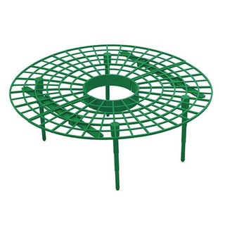 Khay đỡ dâu tây, rau diếp