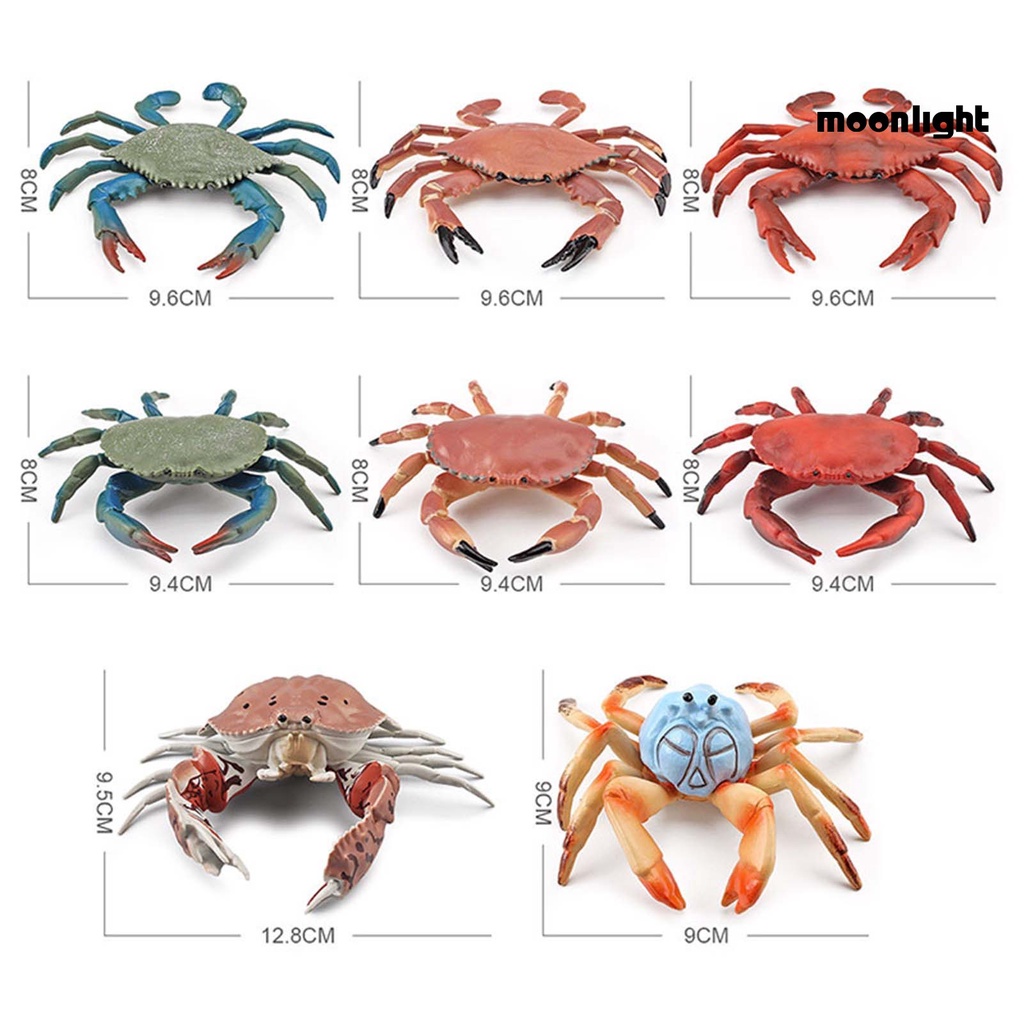 Đồ Chơi Mô Hình Con Cua Tạo Hình Phát Triển Trí Thông Minh Cho Trẻ Em