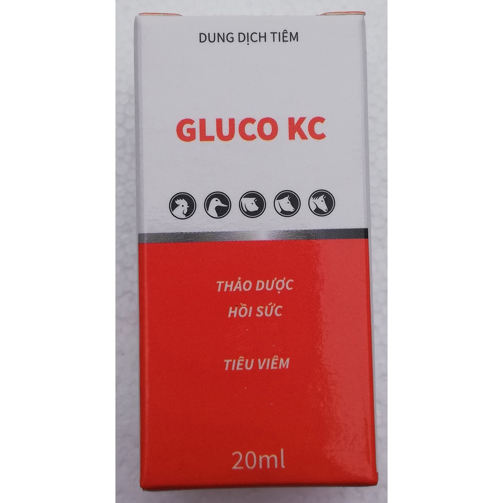 1 lọ Gluco KC 20ml Dùng tốt cho trâu, bò, heo, dê, cừu, ngựa, chó, mèo