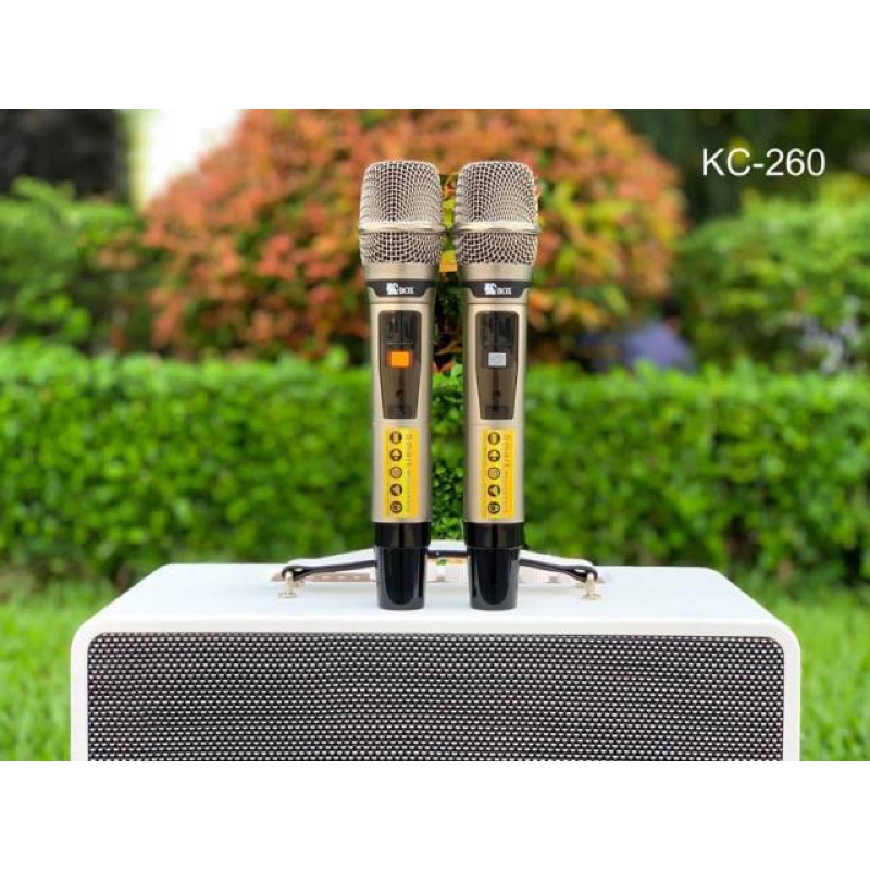 Loa karaoke di động CXF GL-8092, kèm theo 2 mic ko dây