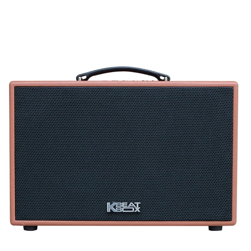 LOA DI ĐỘNG ACNOS_BZ250PU BASS 25 CHÍNH HÃNG 100% Nguyên Hộp ( Tặng Kèm Phụ Kiện Cao Cấp )