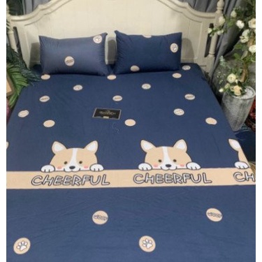 (Giá rẻ)  Drap bo chun Poly Cotton (có kèm áo gối) được chọn mẫu - Ga gối loại đẹp mẫu Tim đỏ new, được chọn mẫu