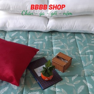 [HÀNG MAY] Nệm trải sàn riotex giá rẻ 1.6mx1m9 - Giao ngẫu nhiên