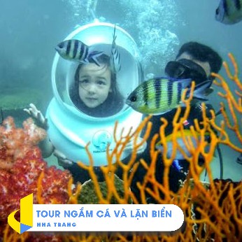 - Tour Săn Bắn Cá Và Lặn Biển 1 Ngày