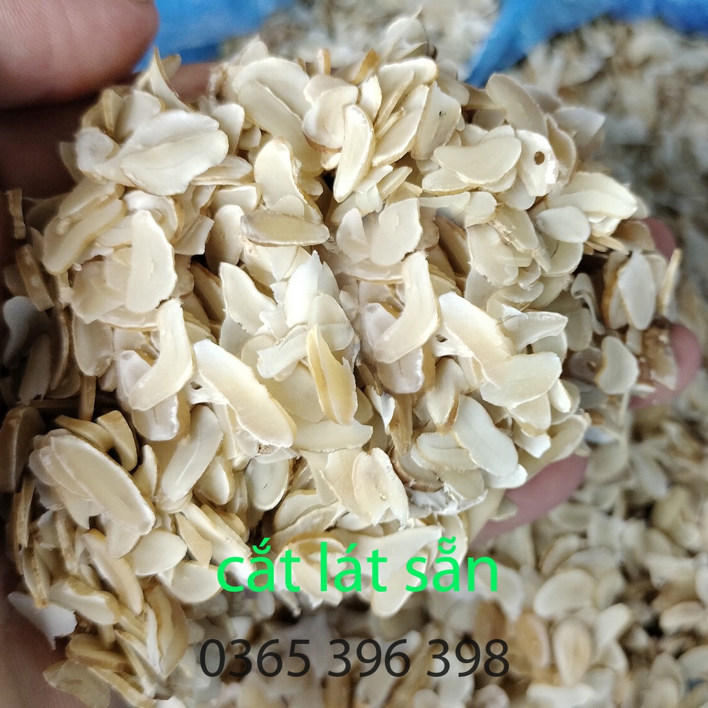 Hạt sành  dạ dày hạt già ruột trắng 1 gói 10 hạt cắt lát sẵn