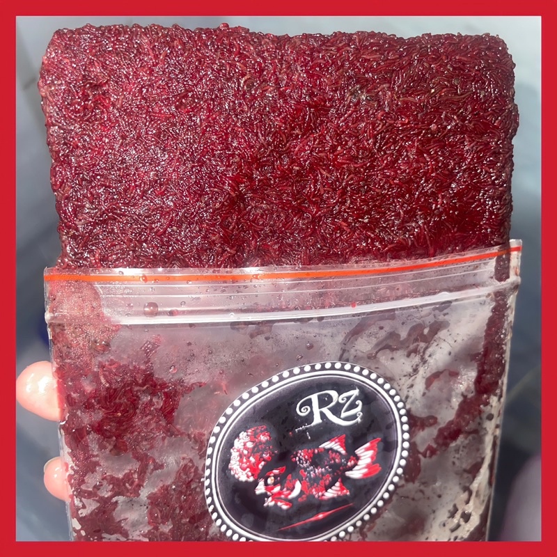 Trùng Huyết Không Nước Bản VIP