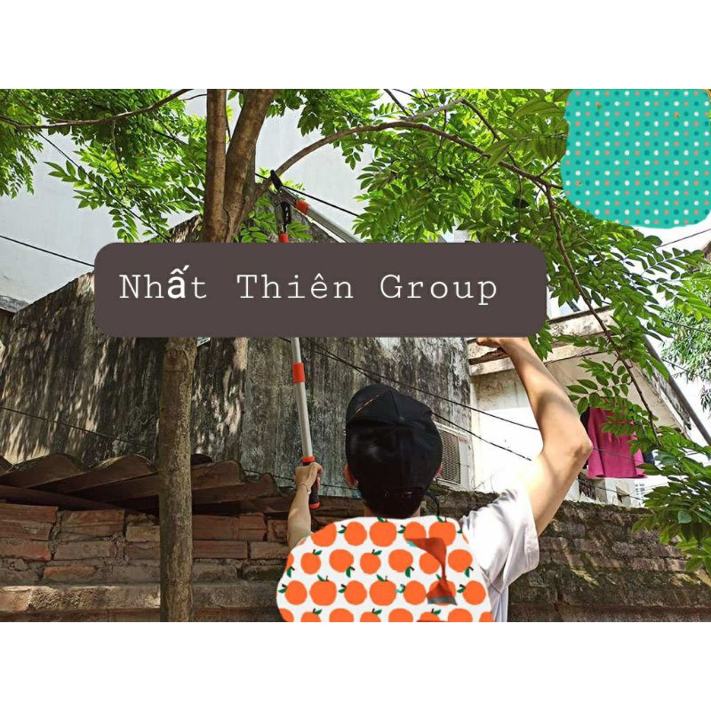 KÉO CẮT CÀNH cây CỘNG LỰC OKUMA