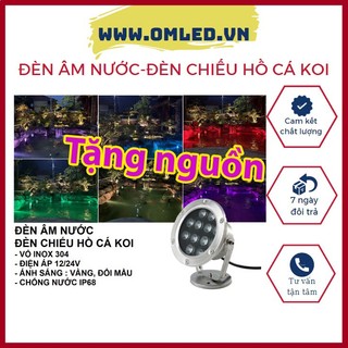 Đèn led âm nước chiếu hồ cá koi - điện áp 12v và 24v - chống nước ip 68 - đủ công suất ánh sáng