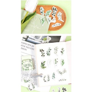Hộp 45 hình dán sticker lá cây
