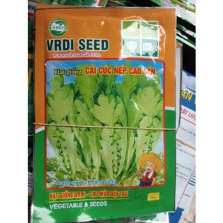 Hạt giống cải cúc nếp