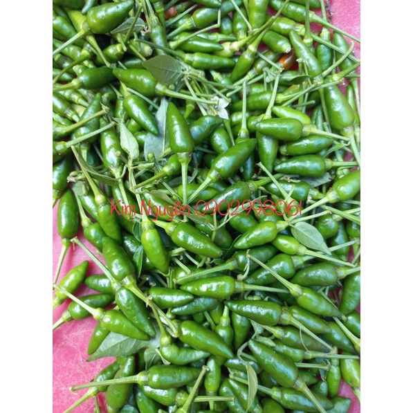 🌶500G ỚT XIÊM XANH - CAY - THƠM