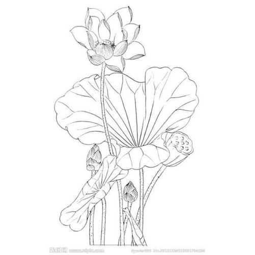 Mẫu thêu in sẵn dính lên vải, tan trong nước