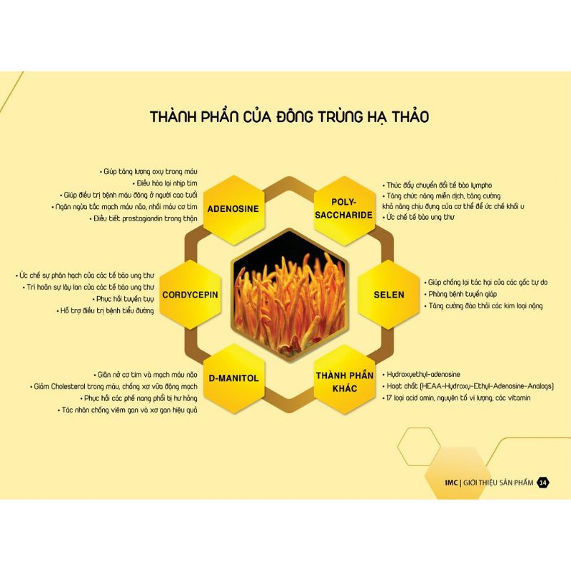 Tảo xoắn vigor 120 viên nang, tảo xoắn cao cấp