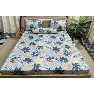 Ga chống thấm cotton hàn quốc