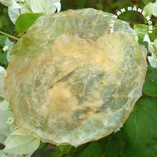 Cá Bóng Tròn/ Khô Cá Bò/ Cá Bò Nướng  - Hải Sản Đăng Nghi - 100% Không Pha Thêm Loại Cá Khác, Dày, Dẻo