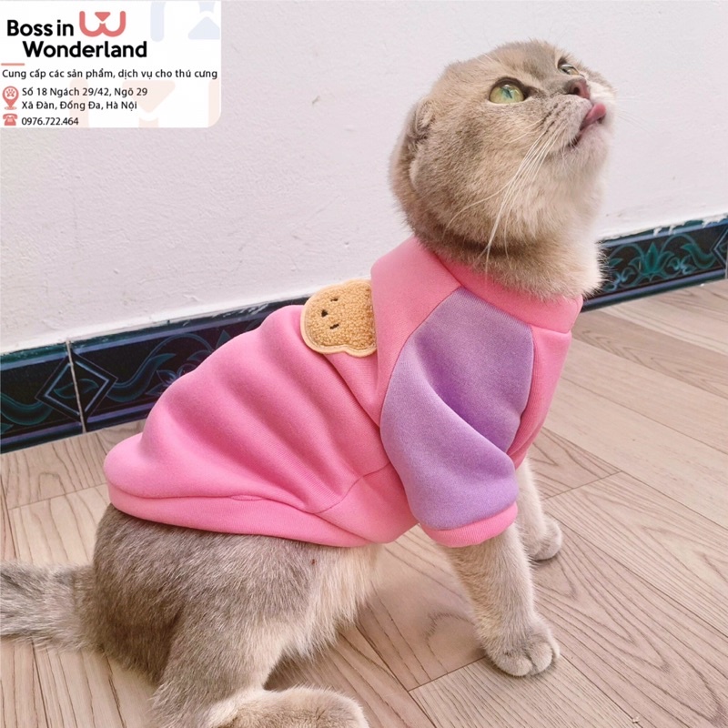 Áo nỉ bông gấu dài tay cho thú cưng