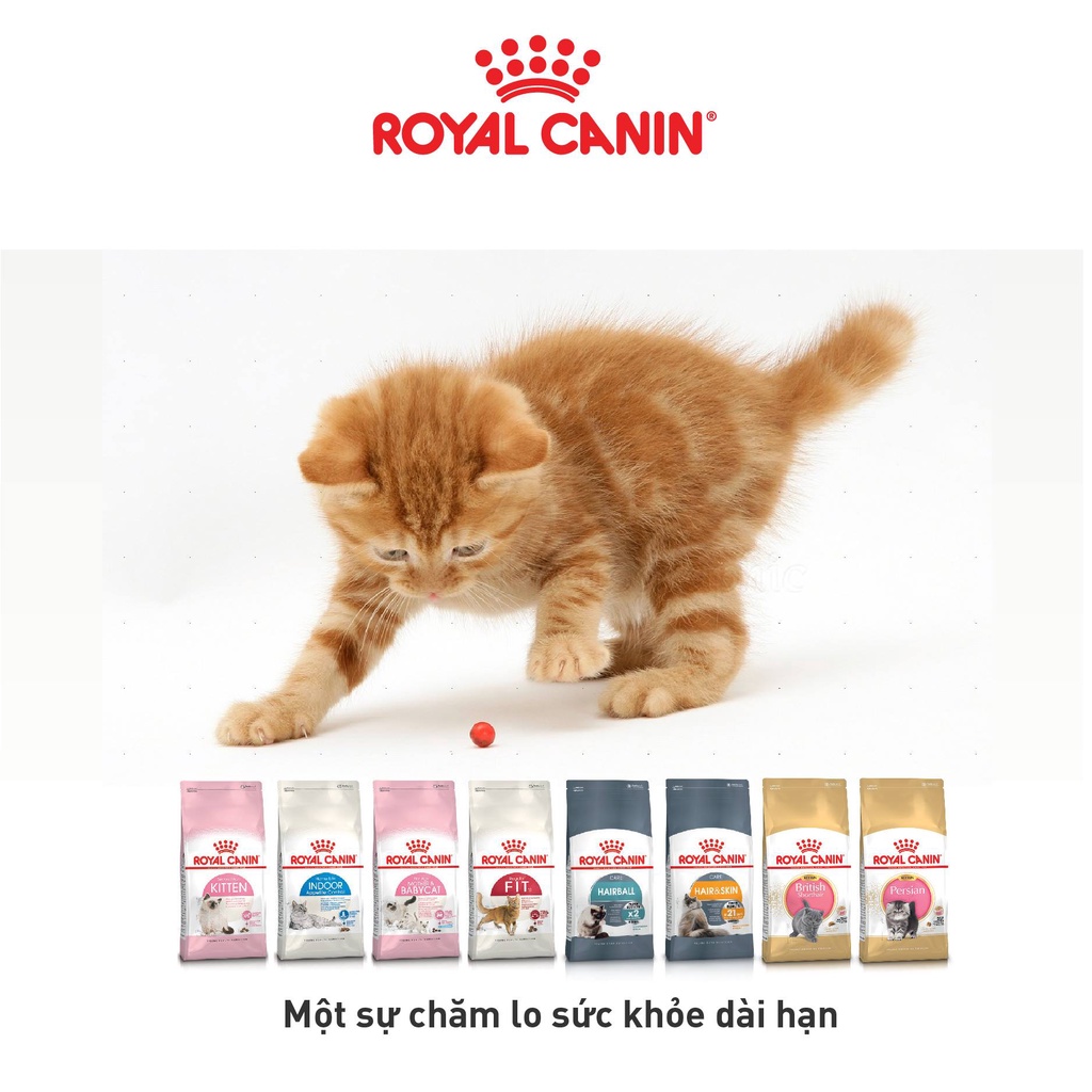 Thức ăn hạt cho mèo Royal Canin Mother&Babycat , Fit32 , Indoor , Kitten