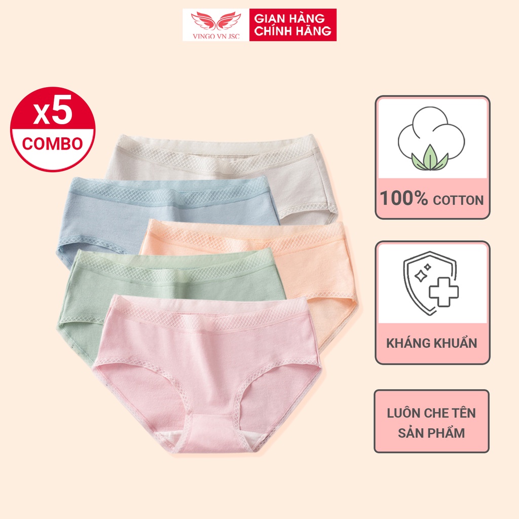 Combo 5 quần lót nữ cotton kháng khuẩn VINGO dáng 3/4 viền ren mỏng ôm sát mặc không lộ viền có size CB03-5 VNGO