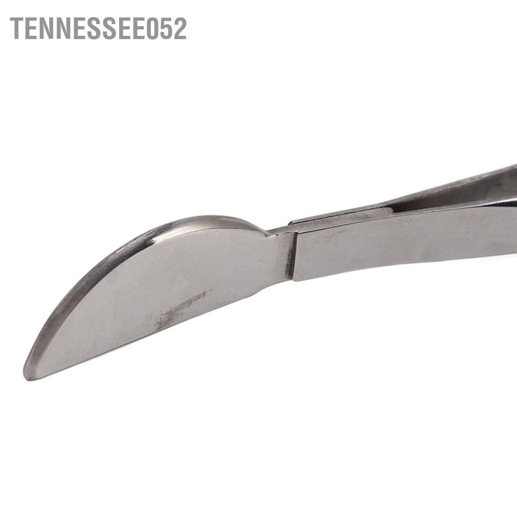 Nhíp Dài Bằng Thép Không Gỉ Dùng Trồng Cây Bonsai Tiện Dụng