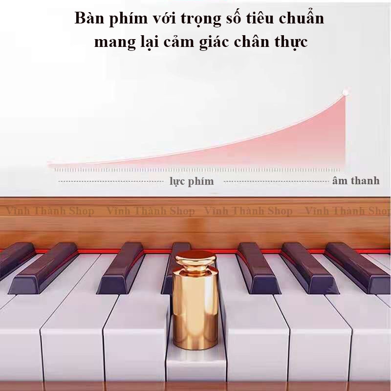 Đàn Piano Điện 88 Phím Kèm Chân Đạp Pedal Có Hỗ Trợ Cổng USB MIDI, Headphone, AUDIO IN, POWER, PEDAL