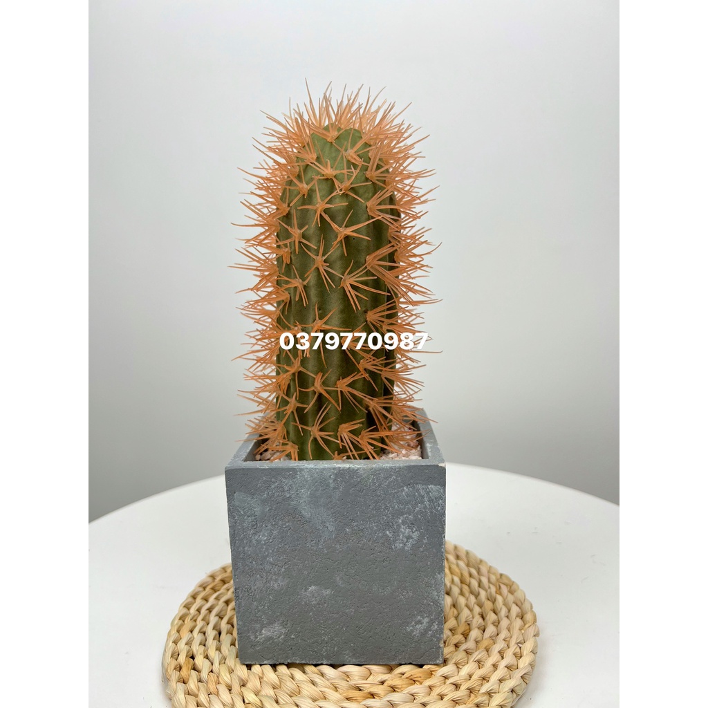 Xương rồng giả - trang trí tiểu cảnh nội thất phòng khách phòng ngủ