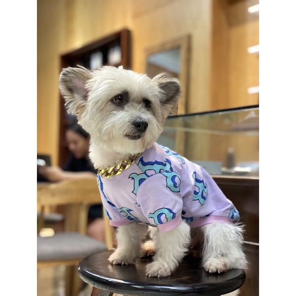 Áo Boston Tím cho thú cưng