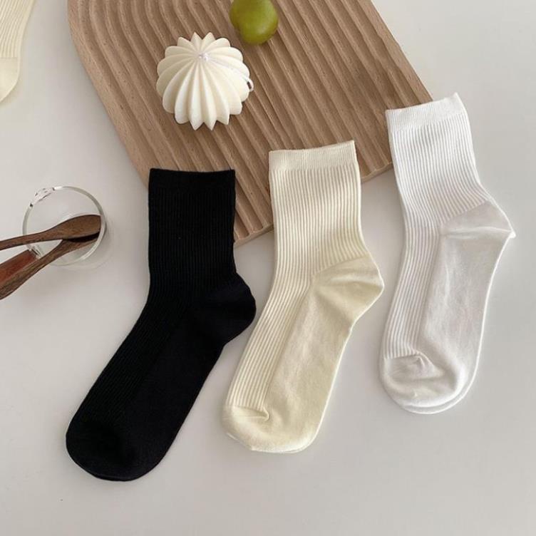 Vớ Màu Trơn Thời Trang Mùa Hè Xinh Xắn Cho Nữ