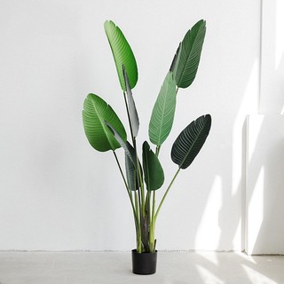 Cây chuối cảnh giả 1m6
