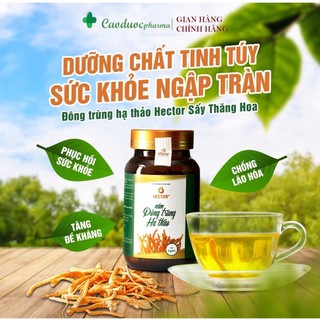 [CHÍNH HÃNG] Đông Trùng Hạ Thảo HECTOR Sợi Sấy Thăng Hoa (5gr/hộp)