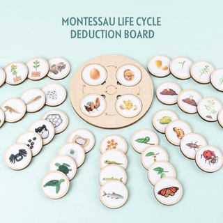 Bộ đồ chơi montessori vòng sinh trưởng xếp hình vòng đời của động vật và thực vật bằng gỗ cho bé