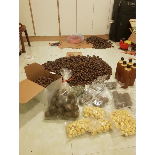 500G HẠT DẺ BÓC SẴN VỎ- NẤU XÔI CHÈ CHIÊN MẬT ONG HẦM GÀ NẤU CHÁO LÀM SỮA HẠT,THƠM NGON NGỌT BÙI