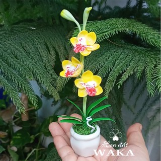 Hoa Đất Sét Mini- Địa Lan 12cm