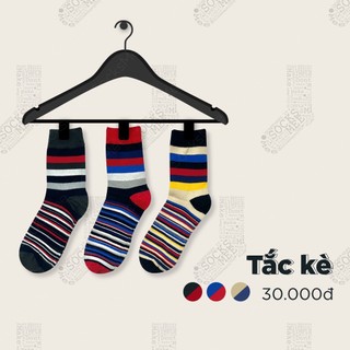 Tất vớ tắc kè