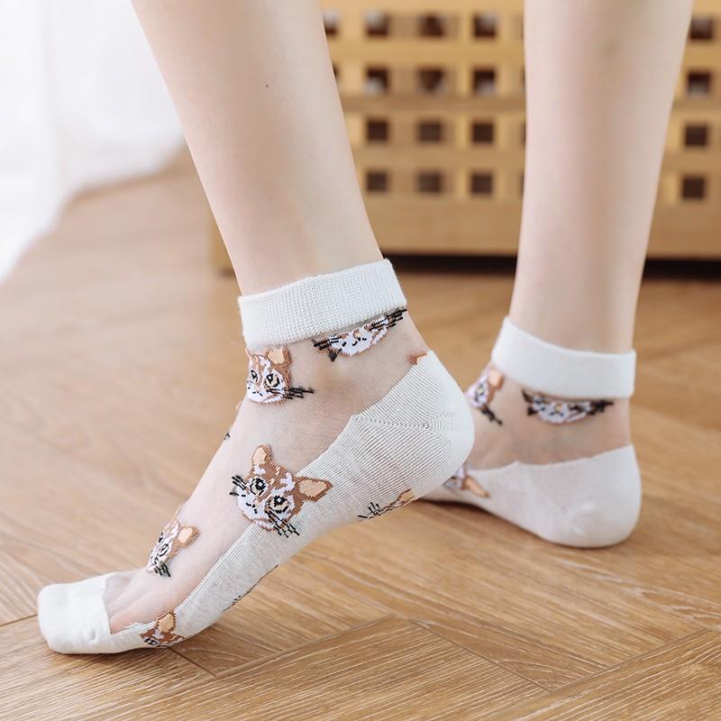 Set 10 Đôi Tất Lưới Nữ Cổ Ngắn Hình Mèo - Tất Hàn Quốc Cute Kháng Khuẩn Khử Mùi Hôi - Mẫu Mới 2022